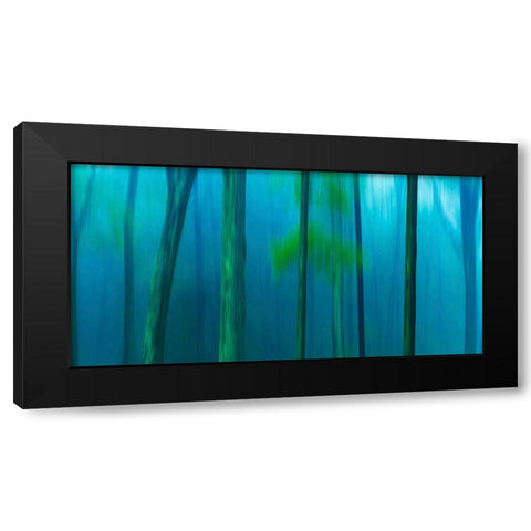 Harriman Woods V Black Modern Wood Framed Art Print by McLoughlin, James