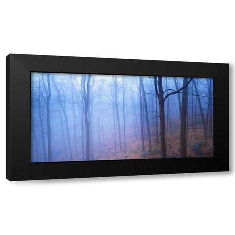 Harriman Woods VI Black Modern Wood Framed Art Print by McLoughlin, James