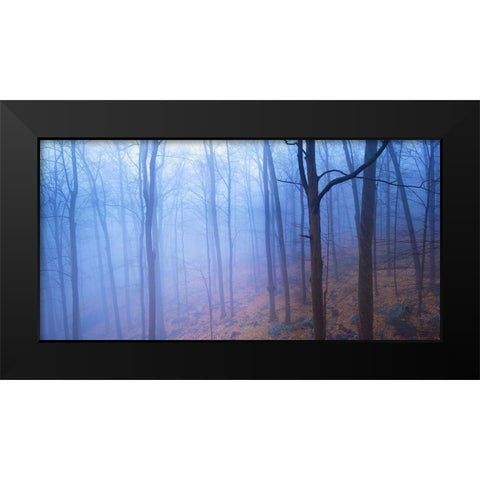 Harriman Woods VI Black Modern Wood Framed Art Print by McLoughlin, James