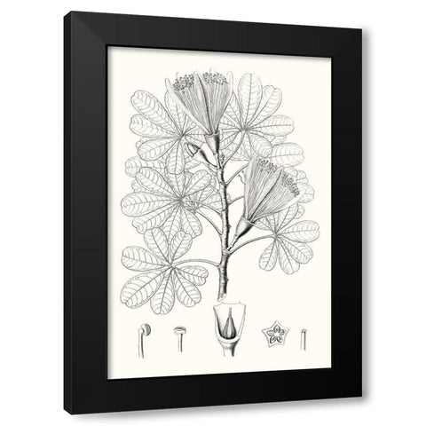 Illustrative Leaves II Black Modern Wood Framed Art Print by Vision Studio