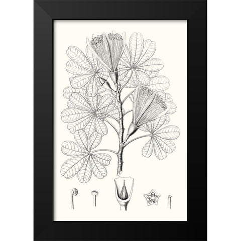 Illustrative Leaves II Black Modern Wood Framed Art Print by Vision Studio