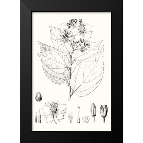 Illustrative Leaves III Black Modern Wood Framed Art Print by Vision Studio