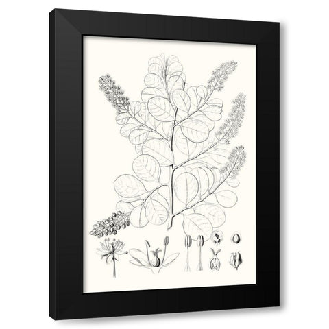 Illustrative Leaves IV Black Modern Wood Framed Art Print with Double Matting by Vision Studio