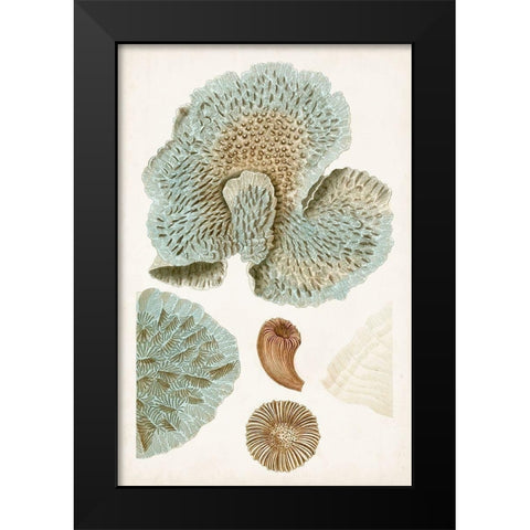 Coastal Curiosity V Black Modern Wood Framed Art Print by Unknown