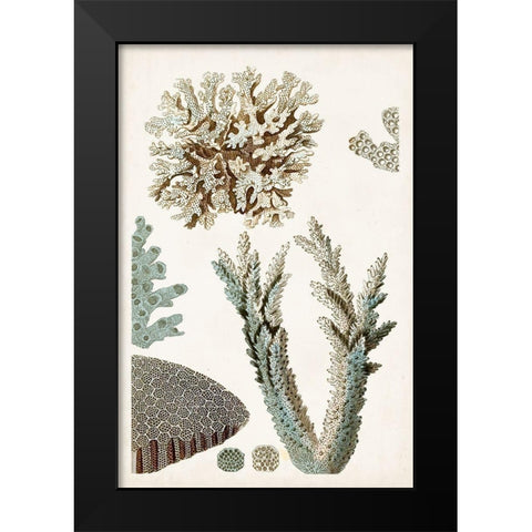 Coastal Curiosity VI Black Modern Wood Framed Art Print by Unknown