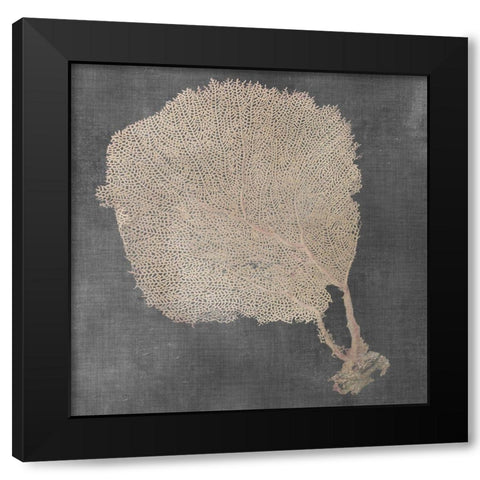 Natural Sea Fan II Black Modern Wood Framed Art Print with Double Matting by Vision Studio