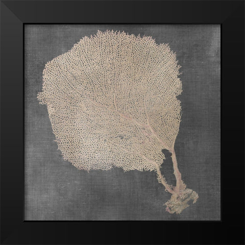 Natural Sea Fan II Black Modern Wood Framed Art Print by Vision Studio