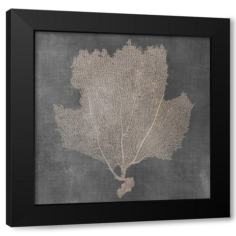 Natural Sea Fan III Black Modern Wood Framed Art Print with Double Matting by Vision Studio