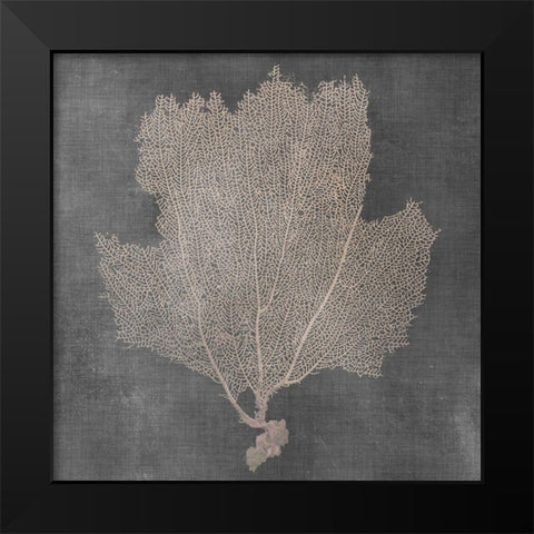 Natural Sea Fan III Black Modern Wood Framed Art Print by Vision Studio