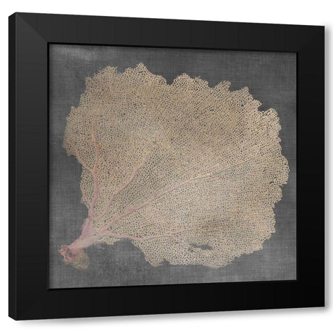 Natural Sea Fan V Black Modern Wood Framed Art Print by Vision Studio