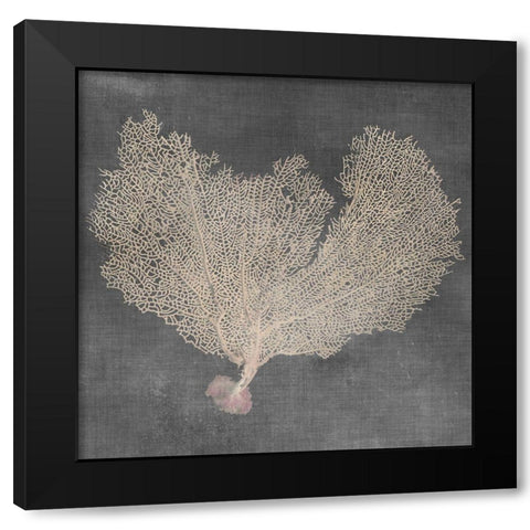 Natural Sea Fan VI Black Modern Wood Framed Art Print with Double Matting by Vision Studio