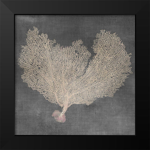 Natural Sea Fan VI Black Modern Wood Framed Art Print by Vision Studio