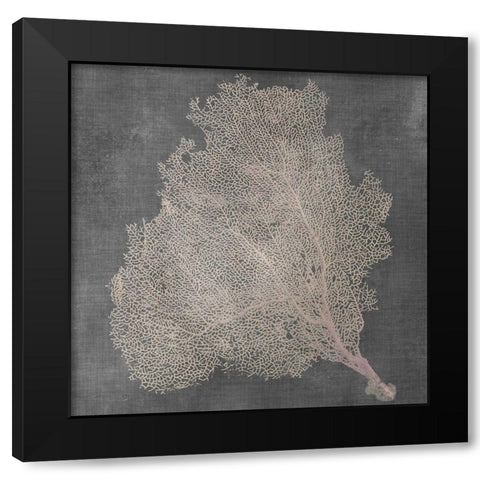 Natural Sea Fan VII Black Modern Wood Framed Art Print with Double Matting by Vision Studio