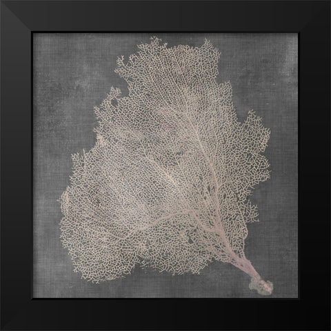 Natural Sea Fan VII Black Modern Wood Framed Art Print by Vision Studio