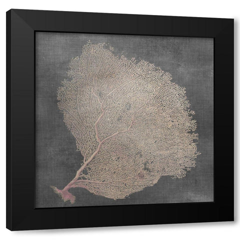 Natural Sea Fan IX Black Modern Wood Framed Art Print by Vision Studio