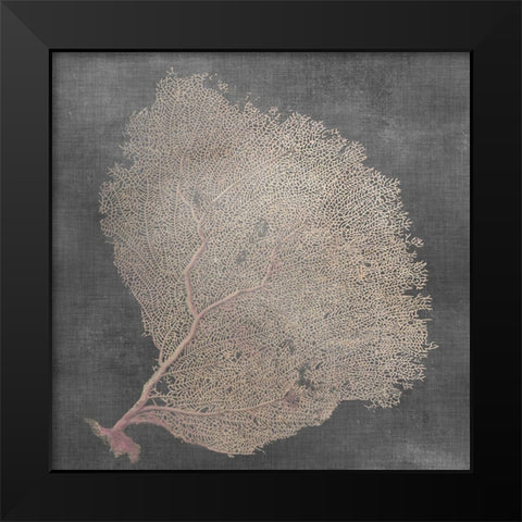 Natural Sea Fan IX Black Modern Wood Framed Art Print by Vision Studio