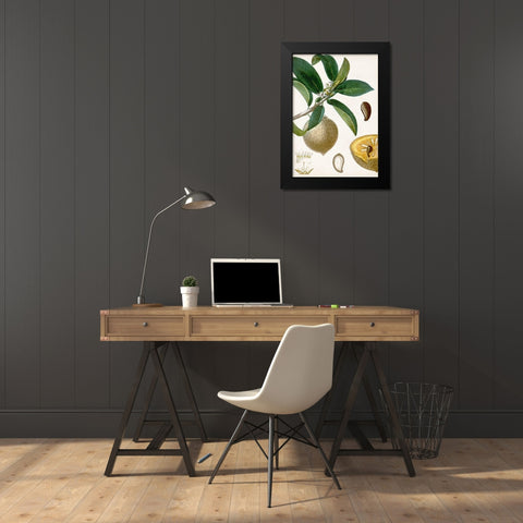 Turpin Tropical Fruit I Black Modern Wood Framed Art Print by Turpin