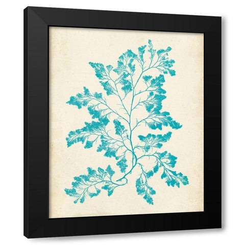 Aquamarine Seaweed I Black Modern Wood Framed Art Print with Double Matting by Vision Studio