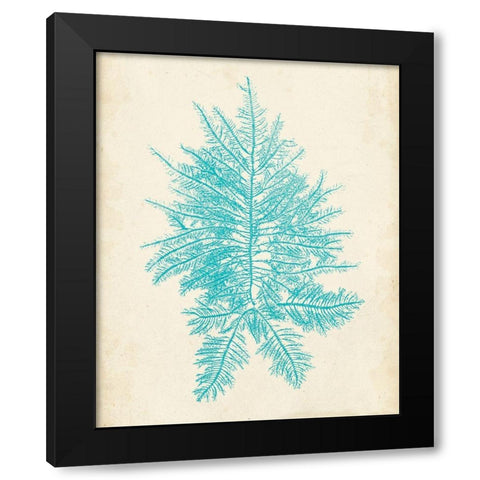 Aquamarine Seaweed III Black Modern Wood Framed Art Print with Double Matting by Vision Studio