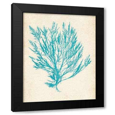 Aquamarine Seaweed IV Black Modern Wood Framed Art Print with Double Matting by Vision Studio