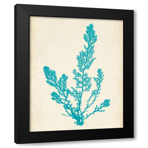 Aquamarine Seaweed VI Black Modern Wood Framed Art Print by Vision Studio