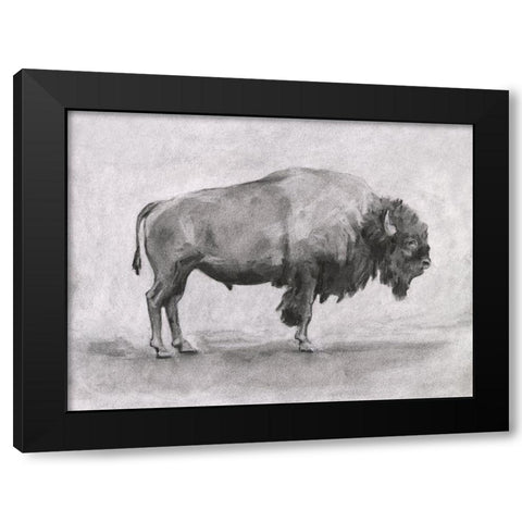 Wild Bison Study I Black Modern Wood Framed Art Print with Double Matting by Scarvey, Emma