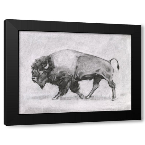 Wild Bison Study II Black Modern Wood Framed Art Print with Double Matting by Scarvey, Emma