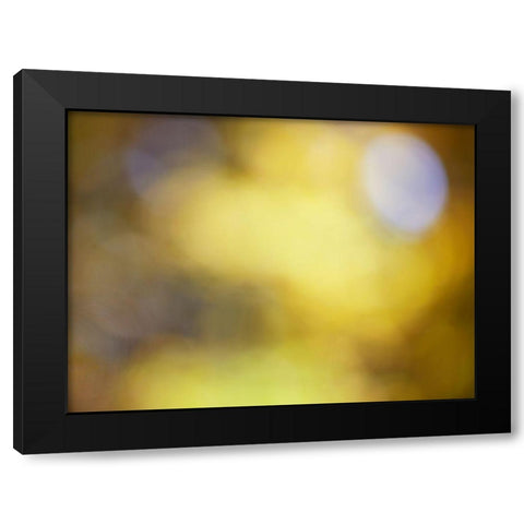 Soft Landscape IV Black Modern Wood Framed Art Print with Double Matting by McLoughlin, James