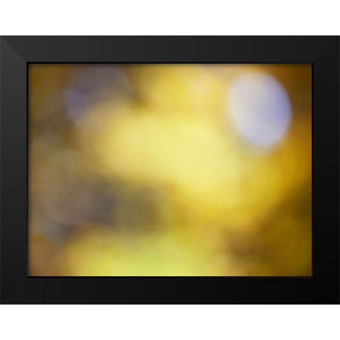 Soft Landscape IV Black Modern Wood Framed Art Print by McLoughlin, James