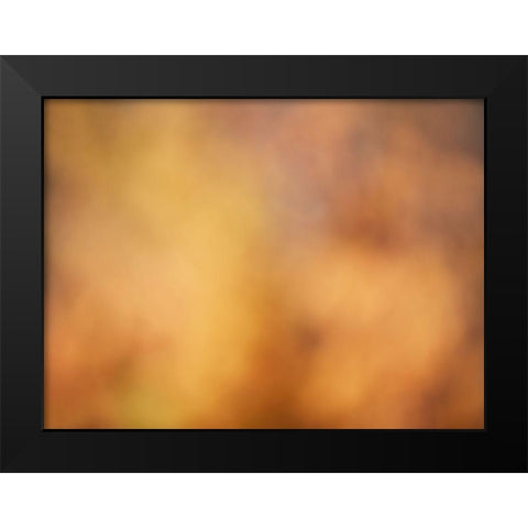 Soft Landscape V Black Modern Wood Framed Art Print by McLoughlin, James