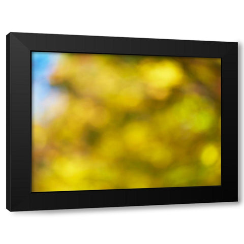 Soft Landscape VI Black Modern Wood Framed Art Print by McLoughlin, James