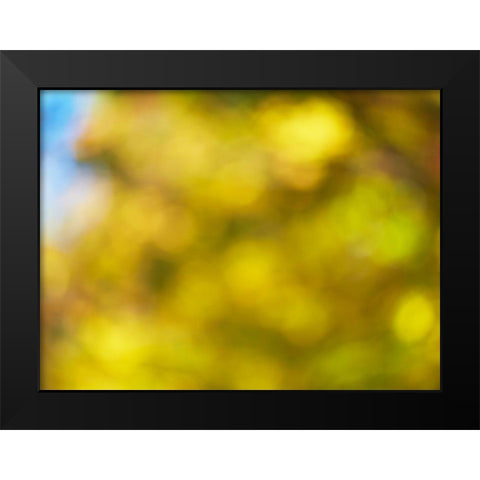 Soft Landscape VI Black Modern Wood Framed Art Print by McLoughlin, James