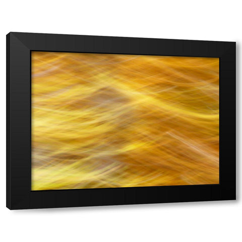 Soft Landscape VII Black Modern Wood Framed Art Print by McLoughlin, James