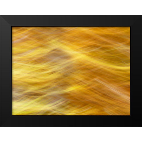 Soft Landscape VII Black Modern Wood Framed Art Print by McLoughlin, James