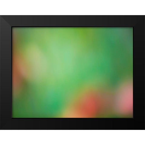 Soft Landscape VIII Black Modern Wood Framed Art Print by McLoughlin, James