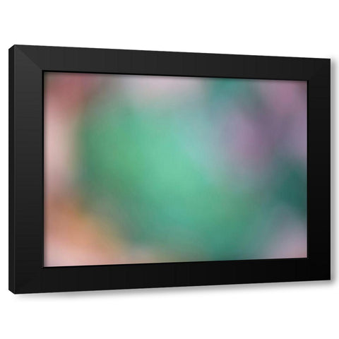 Soft Landscape IX Black Modern Wood Framed Art Print by McLoughlin, James