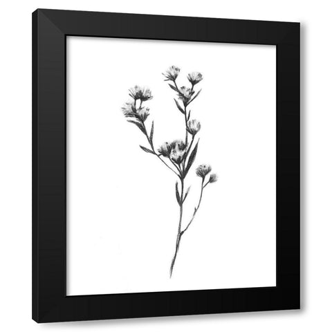 Wild Thistle I Black Modern Wood Framed Art Print by Scarvey, Emma