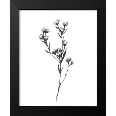 Wild Thistle I Black Modern Wood Framed Art Print by Scarvey, Emma