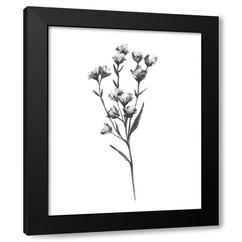 Wild Thistle III Black Modern Wood Framed Art Print with Double Matting by Scarvey, Emma