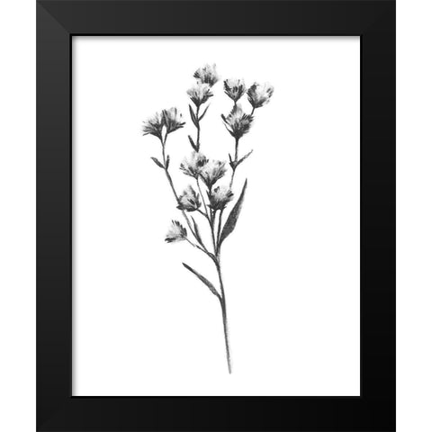 Wild Thistle III Black Modern Wood Framed Art Print by Scarvey, Emma