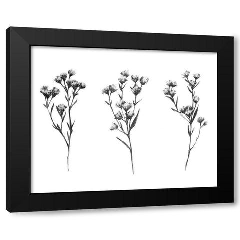 Wild Thistle V Black Modern Wood Framed Art Print with Double Matting by Scarvey, Emma