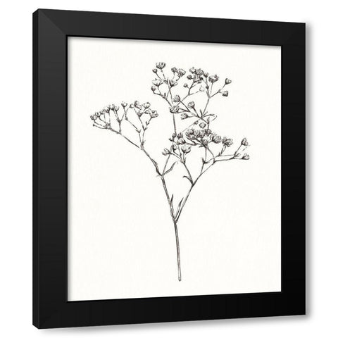 Wild Bloom Sketch I Black Modern Wood Framed Art Print by Warren, Annie