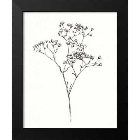 Wild Bloom Sketch I Black Modern Wood Framed Art Print by Warren, Annie