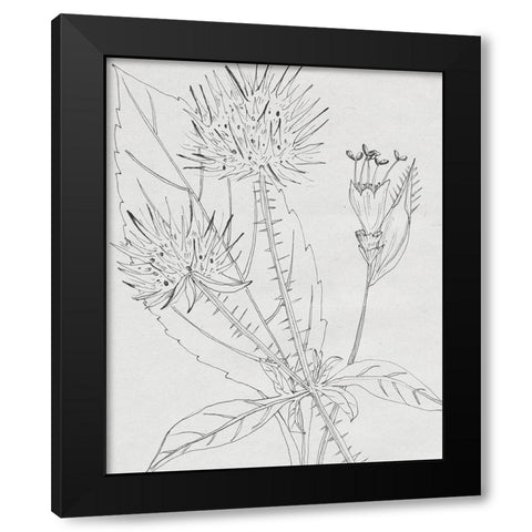 Wild Blossoms I Black Modern Wood Framed Art Print with Double Matting by Wang, Melissa