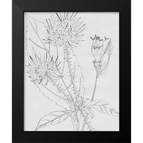Wild Blossoms I Black Modern Wood Framed Art Print by Wang, Melissa
