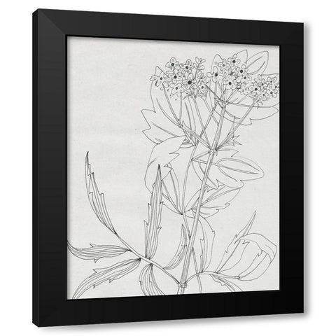 Wild Blossoms II Black Modern Wood Framed Art Print with Double Matting by Wang, Melissa
