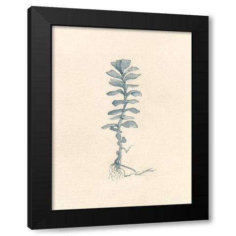 Uprooted I Black Modern Wood Framed Art Print with Double Matting by Douglas, Jamie