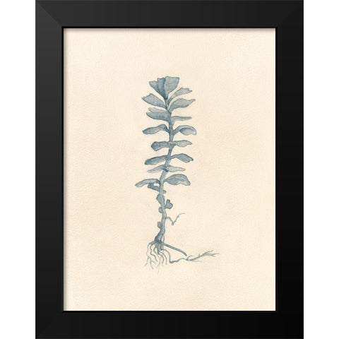 Uprooted I Black Modern Wood Framed Art Print by Douglas, Jamie