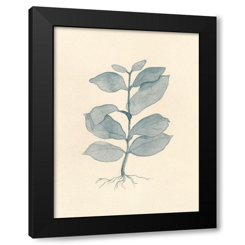 Uprooted II Black Modern Wood Framed Art Print by Douglas, Jamie