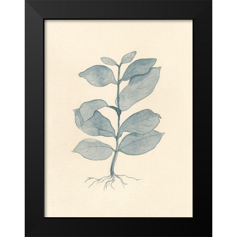 Uprooted II Black Modern Wood Framed Art Print by Douglas, Jamie